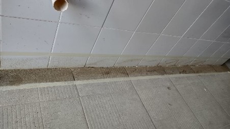 Zoclo Curvo Sanitario — BEIM